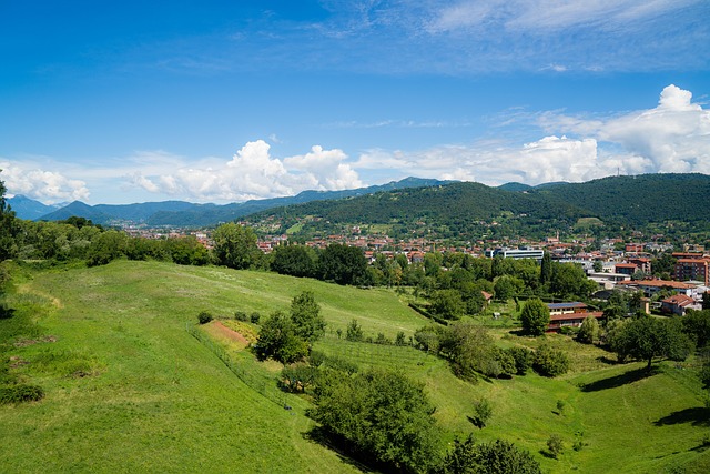 travel, landscape, nature, hill, tree, mountain, sky, summer, wood, outdoors, grass, field, horizontal, wide, no people, rural scenes, plain, wide shot, wide angle, non-urban scenes, day, bergamo, italy, 22july, wide shot, wide shot, wide shot, wide shot, wide shot, bergamo