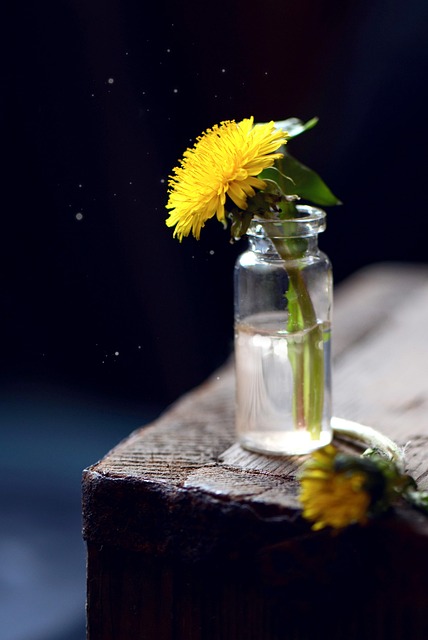 flower, flower wallpaper, dandelion, beautiful flowers, nature, bouquet, dark background, village, bright, light, yellow, black, green, rustic, flower background, still life, iphone wallpaper