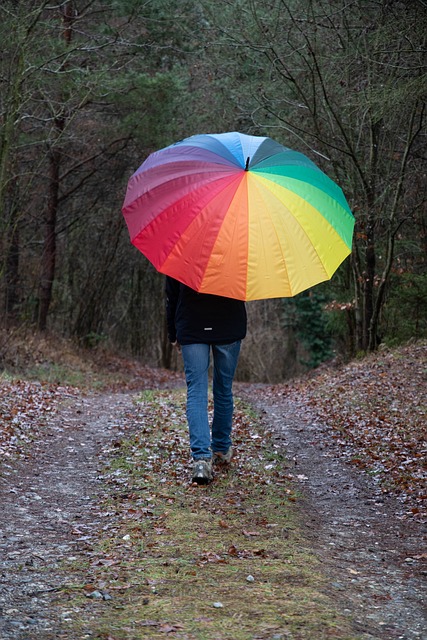 umbrella, forest, multicoloured, nature, just, fall, winter, rain, regenschrim, spring