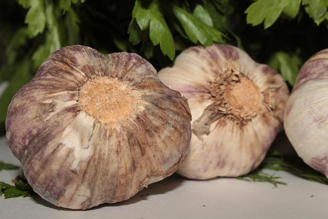 garlic, greens, white, purple, green, parsley, dill, three, heads, cloves, cook, product, harvest, ingredient